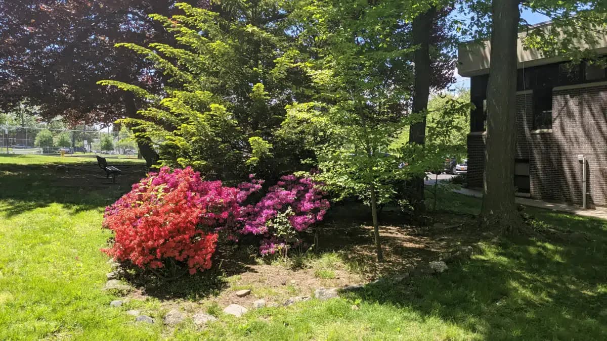 MH Assoc of Westchester Co Inc - Outpatient Clinic (White Plains)